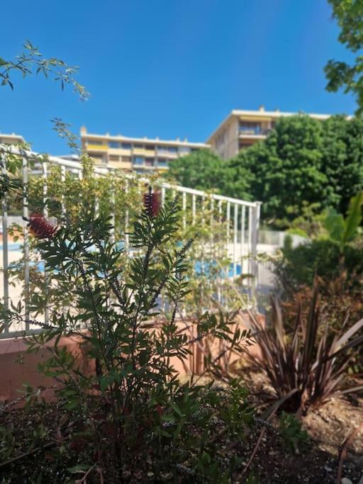 Appartement Vue Mer Sur Les Hauteurs De Nizza Kültér fotó